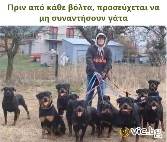 Πριν από κάθε βόλτα, προσεύχεται να μη συναντήσουν γάτα