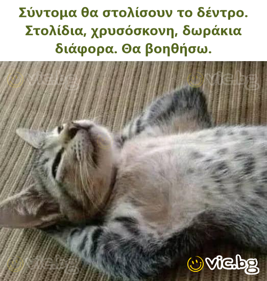 Σύντομα θα στολίσουν το δέντρο. Στολίδια, χρυσόσκονη, δωράκια διάφορα. Θα βοηθήσω.