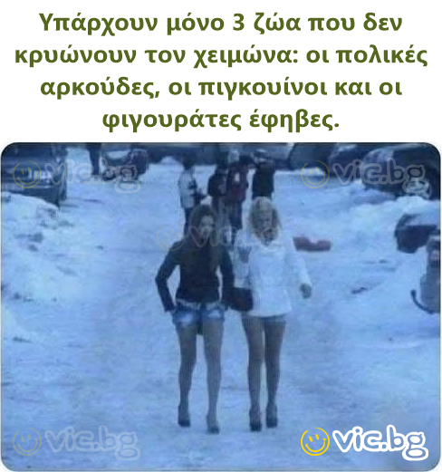 Υπάρχουν μόνο 3 ζώα που δεν κρυώνουν τον χειμώνα: οι πολικές αρκούδες, οι πιγκουίνοι και οι φιγουράτες έφηβες.