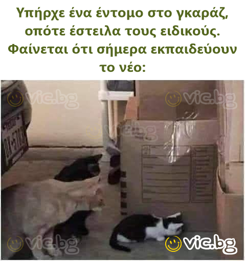 Υπήρχε ένα έντομο στο γκαράζ, οπότε έστειλα τους ειδικούς. Φαίνεται ότι σήμερα εκπαιδεύουν το νέο: