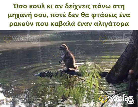 Όσο κουλ κι αν δείχνεις πάνω στη μηχανή σου, ποτέ δεν θα φτάσεις ένα ρακούν που καβαλά έναν αλιγάτορα