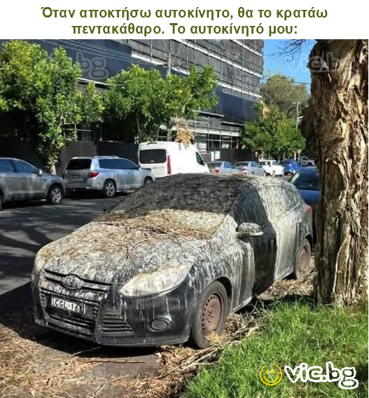 Όταν αποκτήσω αυτοκίνητο, θα το κρατάω πεντακάθαρο. Το αυτοκίνητό μου: