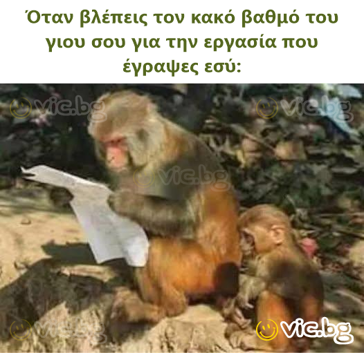 Όταν βλέπεις τον κακό βαθμό του γιου σου για την εργασία που έγραψες εσύ: