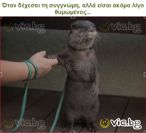 Όταν δέχεσαι τη συγγνώμη, αλλά είσαι ακόμα λίγο θυμωμένος...