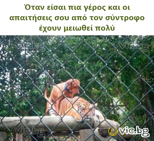 Όταν είσαι πια γέρος και οι απαιτήσεις σου από τον σύντροφο έχουν μειωθεί πολύ