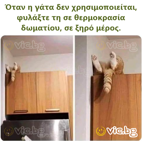 Όταν η γάτα δεν χρησιμοποιείται, φυλάξτε τη σε θερμοκρασία δωματίου, σε ξηρό μέρος.