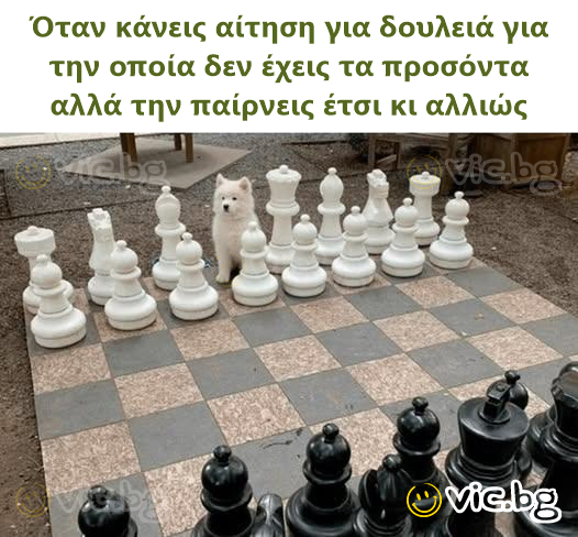 Όταν κάνεις αίτηση για δουλειά για την οποία δεν έχεις τα προσόντα αλλά την παίρνεις έτσι κι αλλιώς