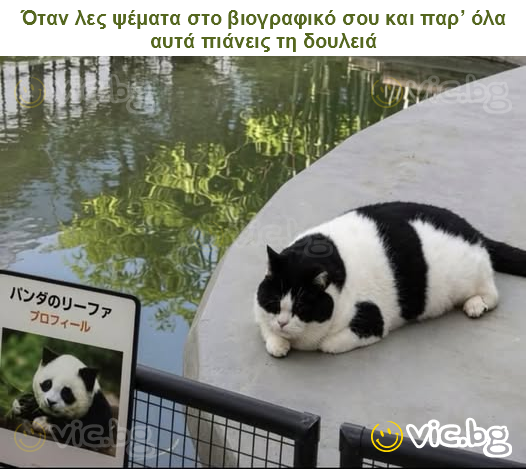 Όταν λες ψέματα στο βιογραφικό σου και παρ’ όλα αυτά πιάνεις τη δουλειά