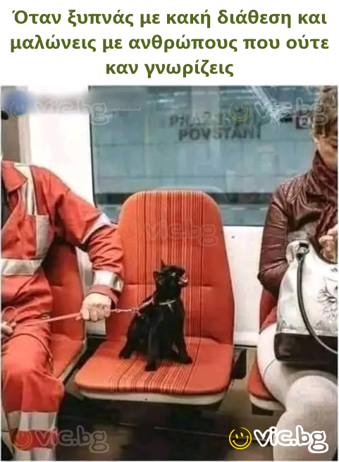 Όταν ξυπνάς με κακή διάθεση και μαλώνεις με ανθρώπους που ούτε καν γνωρίζεις