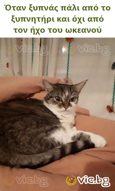 Όταν ξυπνάς πάλι από το ξυπνητήρι και όχι από τον ήχο του ωκεανού