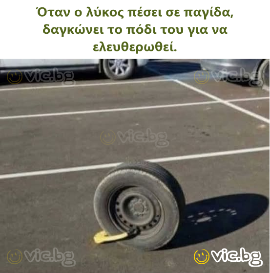 Όταν ο λύκος πέσει σε παγίδα, δαγκώνει το πόδι του για να ελευθερωθεί.