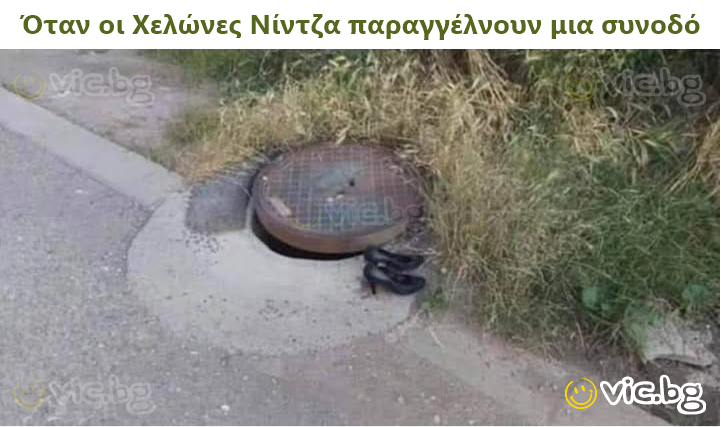 Όταν οι Χελώνες Νίντζα παραγγέλνουν μια συνοδό