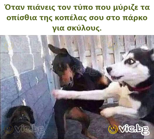 Όταν πιάνεις τον τύπο που μύριζε τα οπίσθια της κοπέλας σου στο πάρκο για σκύλους.