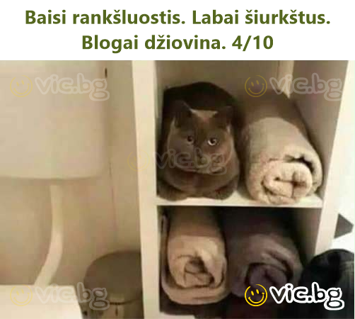 Baisi rankšluostis. Labai šiurkštus. Blogai džiovina. 4/10
