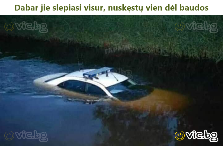 Dabar jie slepiasi visur, nuskęstų vien dėl baudos