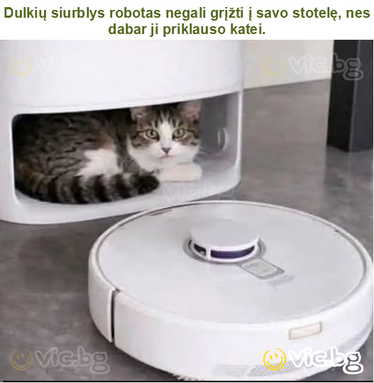 Dulkių siurblys robotas negali grįžti į savo stotelę, nes dabar ji priklauso katei.