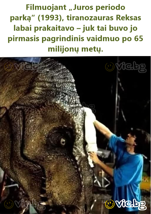 Filmuojant „Juros periodo parką“ (1993), tiranozauras Reksas labai prakaitavo – juk tai buvo jo pirmasis pagrindinis vaidmuo po 65 milijonų metų.