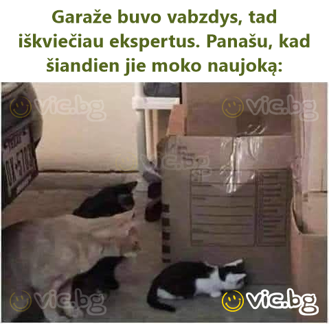 Garaže buvo vabzdys, tad iškviečiau ekspertus. Panašu, kad šiandien jie moko naujoką: