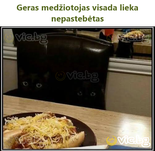 Geras medžiotojas visada lieka nepastebėtas
