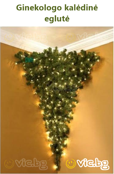 Ginekologo kalėdinė eglutė