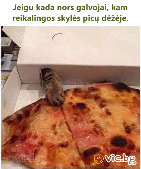 Jeigu kada nors galvojai, kam reikalingos skylės picų dėžėje.