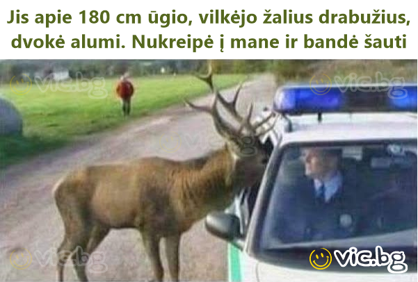 Jis apie 180 cm ūgio, vilkėjo žalius drabužius, dvokė alumi. Nukreipė į mane ir bandė šauti