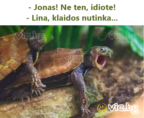 - Jonas! Ne ten, idiote! - Lina, klaidos nutinka...