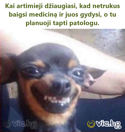 Kai artimieji džiaugiasi, kad netrukus baigsi mediciną ir juos gydysi, o tu planuoji tapti patologu.