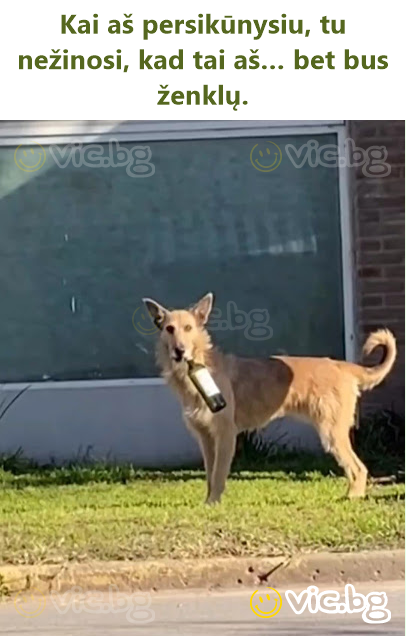 Kai aš persikūnysiu, tu nežinosi, kad tai aš… bet bus ženklų.