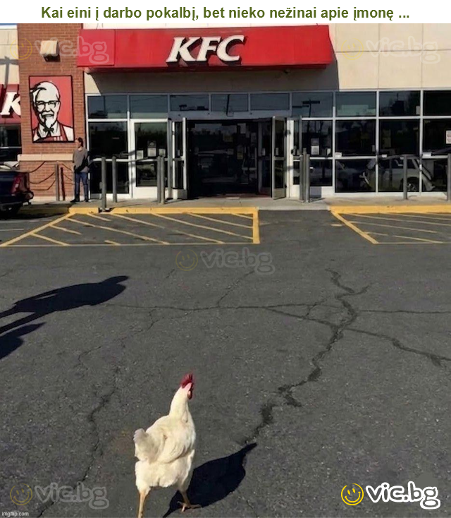 Kai eini į darbo pokalbį, bet nieko nežinai apie įmonę ...