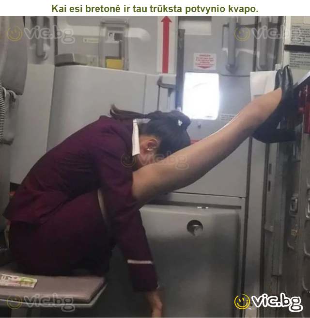 Kai esi bretonė ir tau trūksta potvynio kvapo.