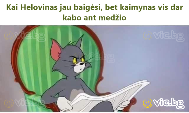 Kai Helovinas jau baigėsi, bet kaimynas vis dar kabo ant medžio