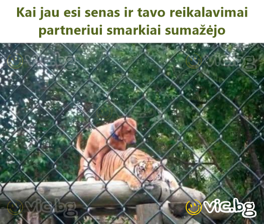 Kai jau esi senas ir tavo reikalavimai partneriui smarkiai sumažėjo