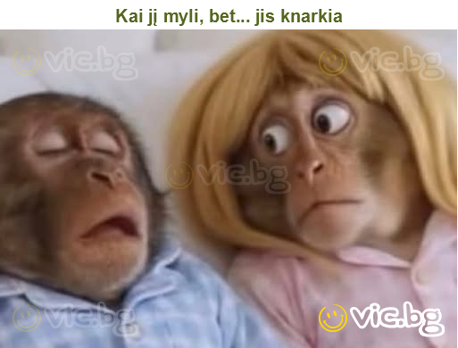 Kai jį myli, bet... jis knarkia