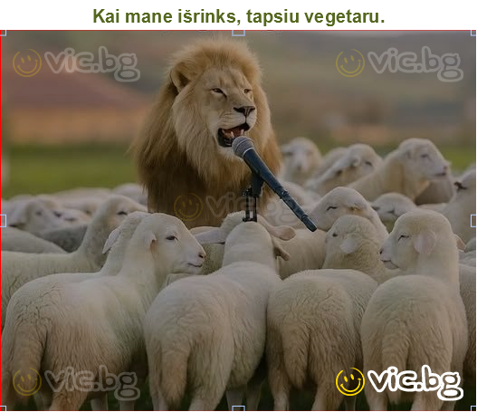 Kai mane išrinks, tapsiu vegetaru.