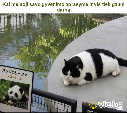 Kai meluoji savo gyvenimo aprašyme ir vis tiek gauni darbą