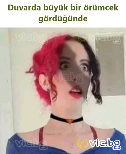 Kai pamato didelį vorą ant sienos