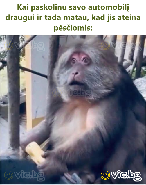 Kai paskolinu savo automobilį draugui ir tada matau, kad jis ateina pėsčiomis: