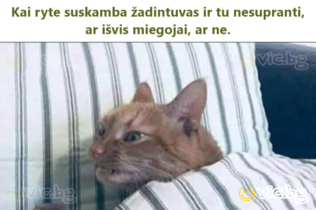 Kai ryte suskamba žadintuvas ir tu nesupranti, ar išvis miegojai, ar ne.