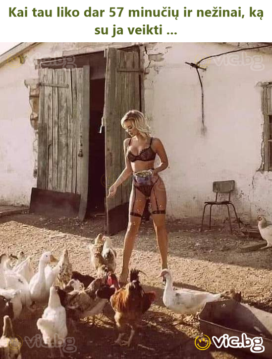 Kai tau liko dar 57 minučių ir nežinai, ką su ja veikti ...