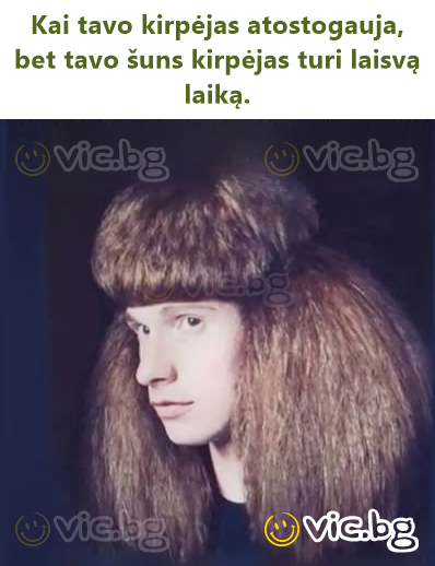 Kai tavo kirpėjas atostogauja, bet tavo šuns kirpėjas turi laisvą laiką.