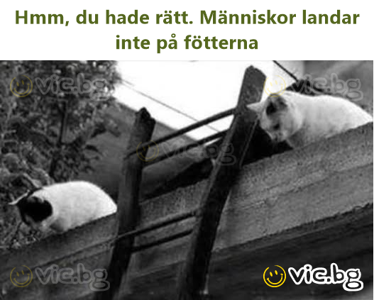 Kai žinai, kad telefoną visada reikia laikyti silikoniniame dėkle.