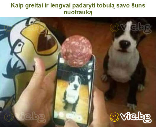 Kaip greitai ir lengvai padaryti tobulą savo šuns nuotrauką