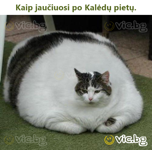 Kaip jaučiuosi po Kalėdų pietų.