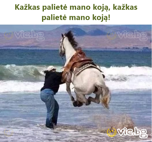 Kažkas palietė mano koją, kažkas palietė mano koją!