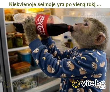 Kiekvienoje šeimoje yra po vieną tokį ...