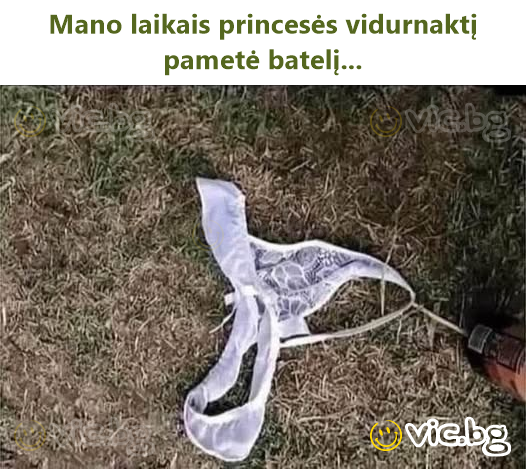 Mano laikais princesės vidurnaktį pametė batelį...