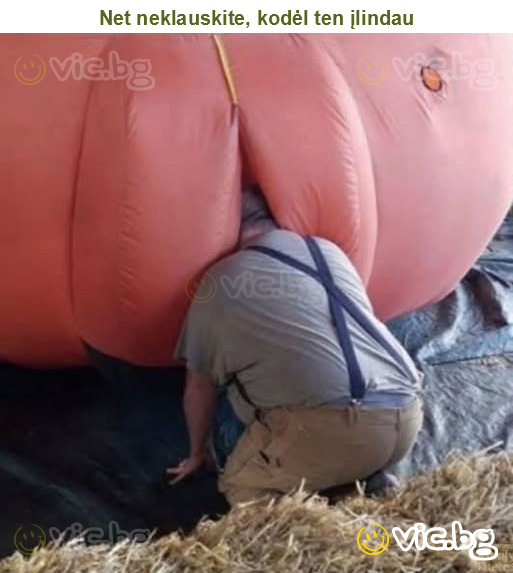 Net neklauskite, kodėl ten įlindau