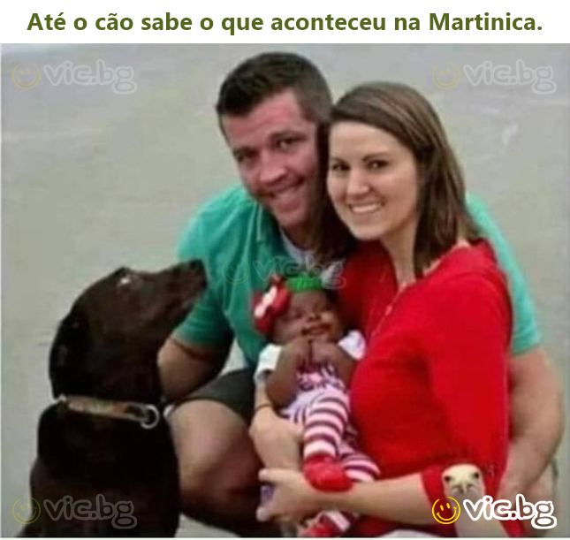 Net šuo žino, kas nutiko Martinikoje.