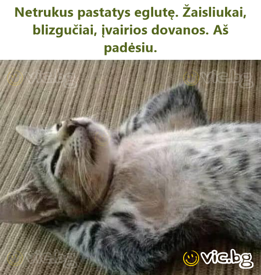 Netrukus pastatys eglutę. Žaisliukai, blizgučiai, įvairios dovanos. Aš padėsiu.